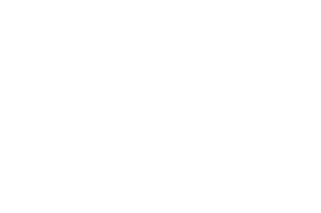 OFFICIAL-SELECTION---Big-Apple-Film-Festival-and-Screenplay-Competition---2022(1)